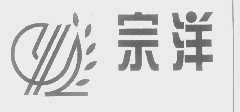 宗洋
