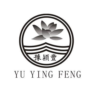 豫颖丰