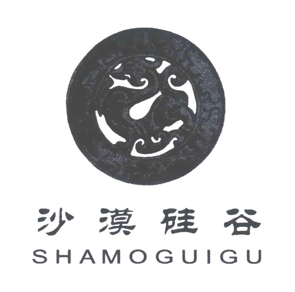 沙漠硅谷