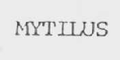 MYTILUS