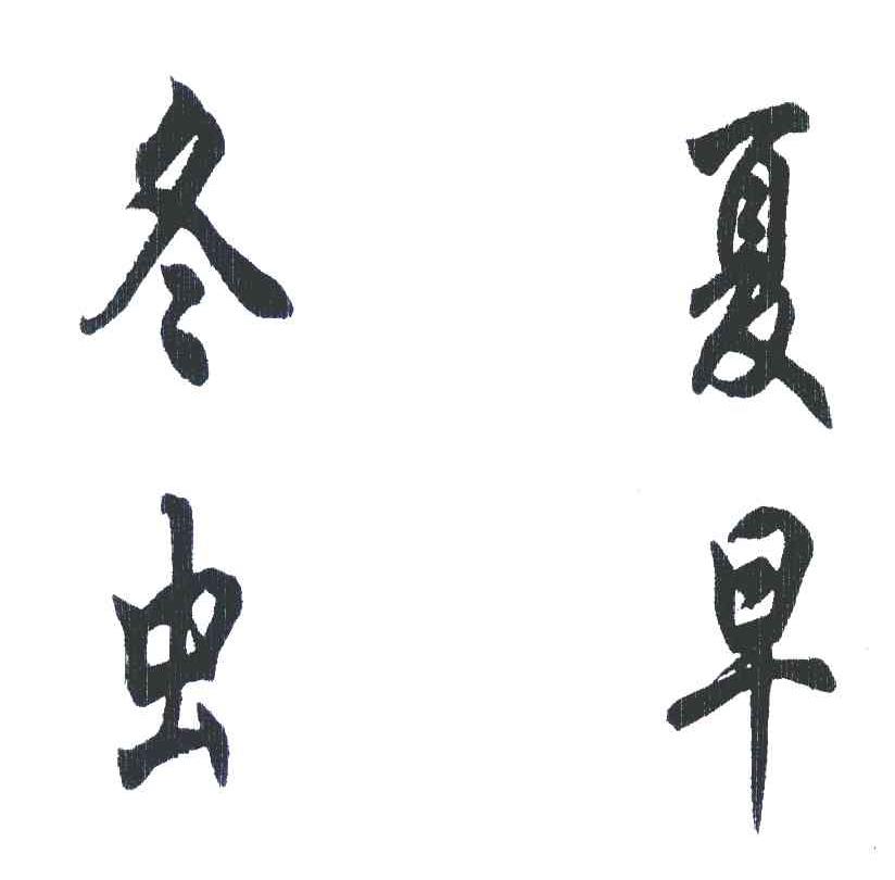 冬夏虫早