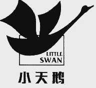 小天鹅  LITTLE SWAN