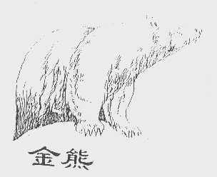 金熊