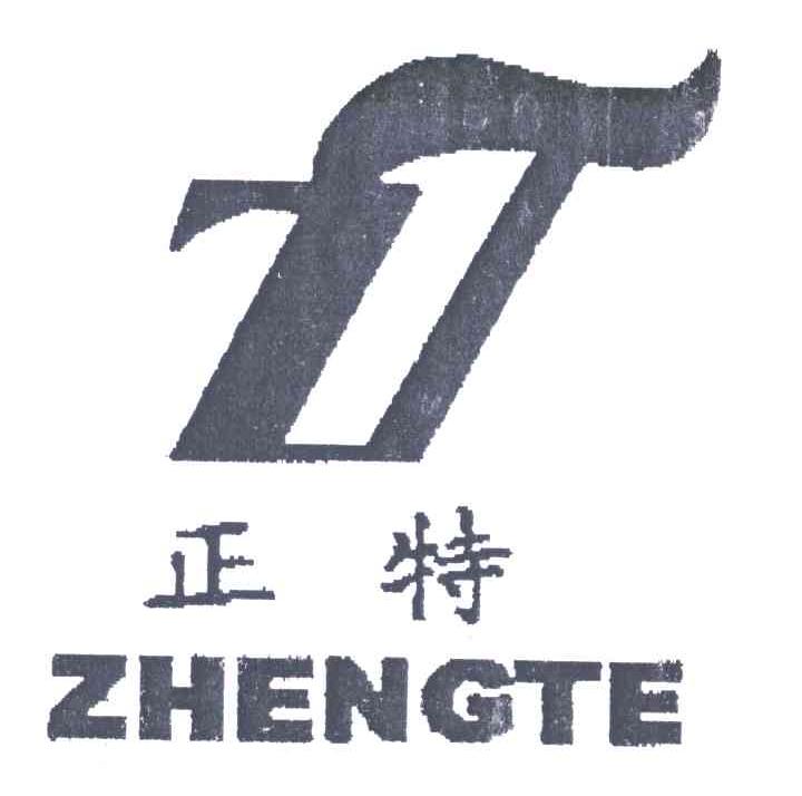 正特