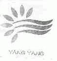 YANG YANG