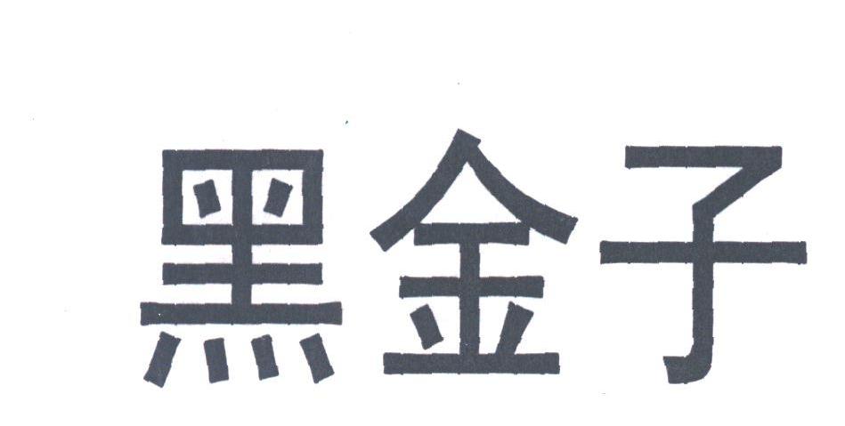 黑金子