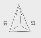 脊蟾