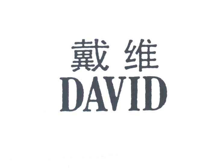 戴维DAVID