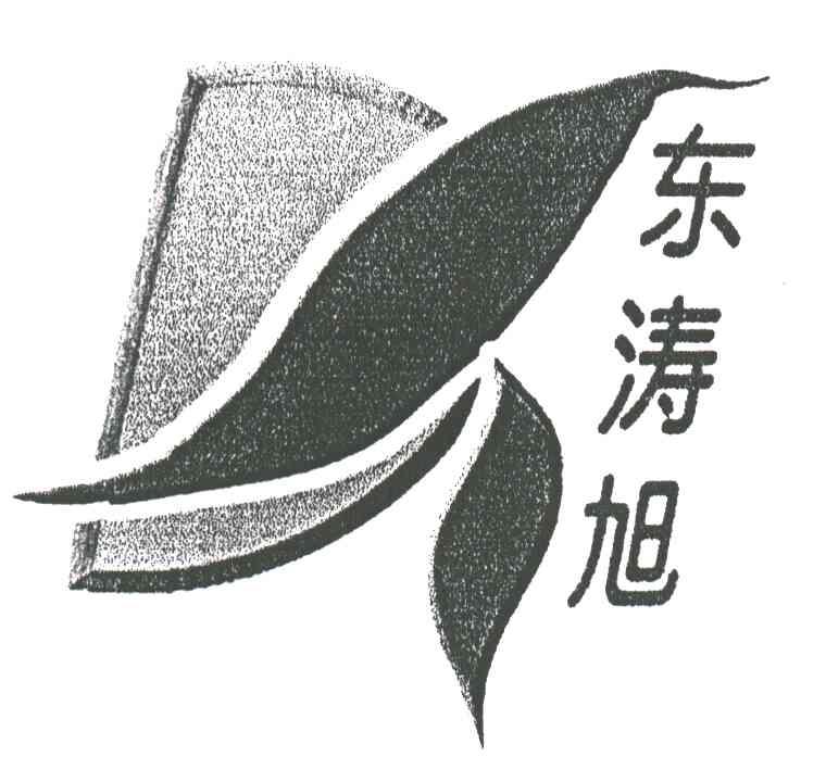 东涛旭