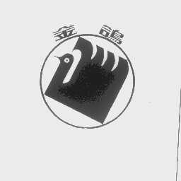 金鸽