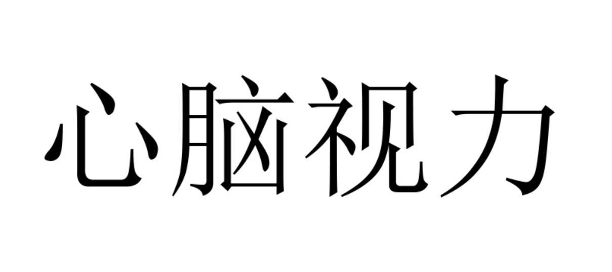 心脑视力