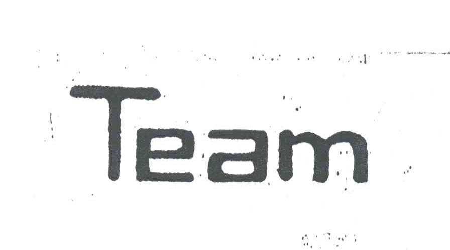 TEAM