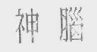神脑