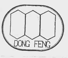 DONG FENG