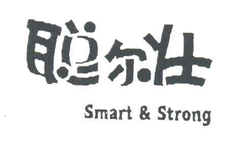 聪尔壮;SMART&STRONG