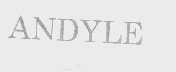 ANDYLE