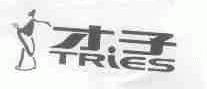 才子;TRIES