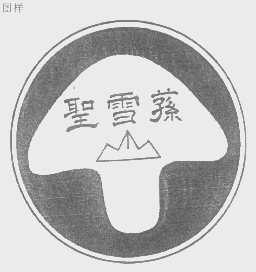 圣雪荪