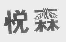 悦森