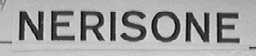 NERISONE
