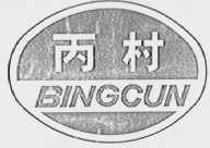 丙村