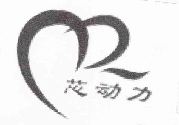 芯动力