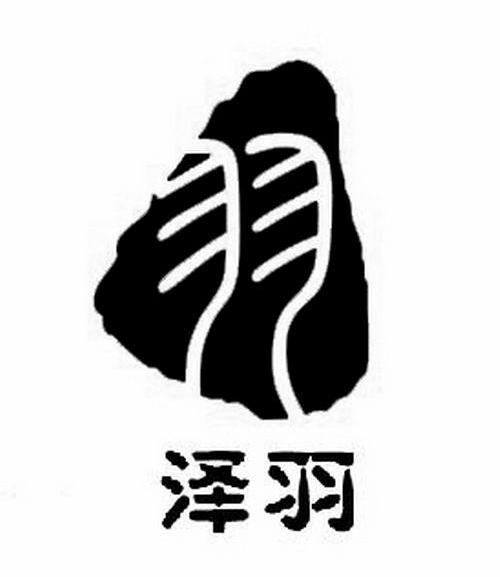 泽羽;羽