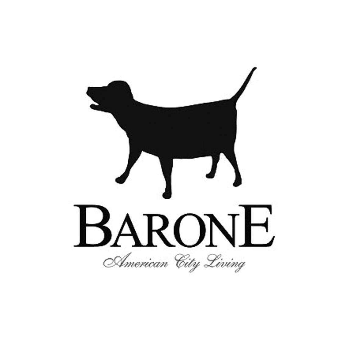 BARONE AMERICAN CITY LIVING