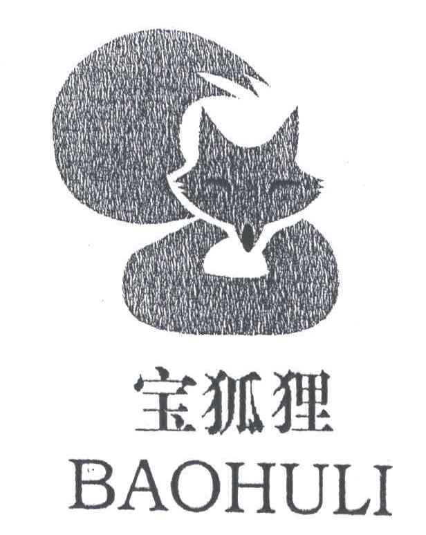 宝狐狸