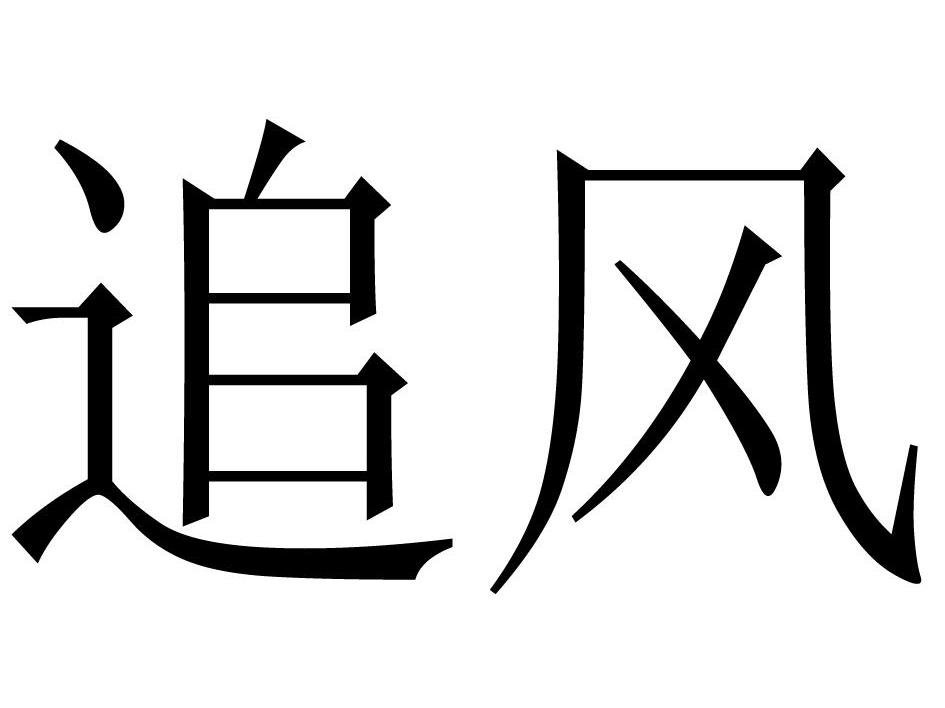 追风