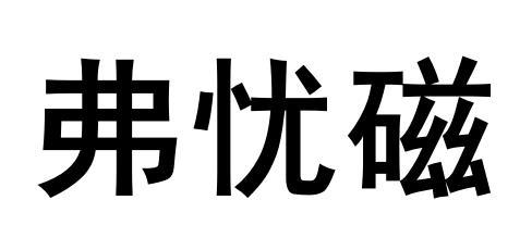 弗忧磁