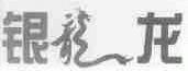 银龙