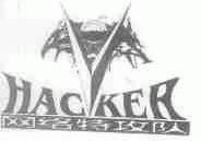 网络特攻队;HACKER