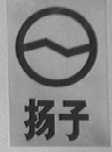 扬子