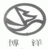 博洋
