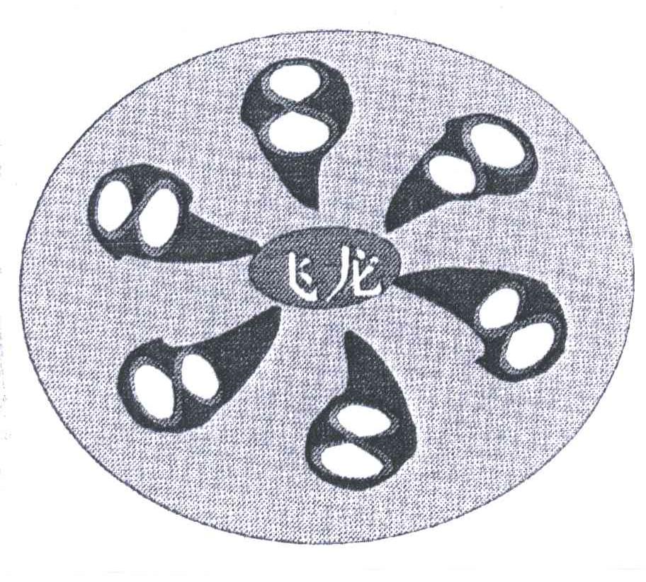 飞龙