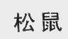 松鼠