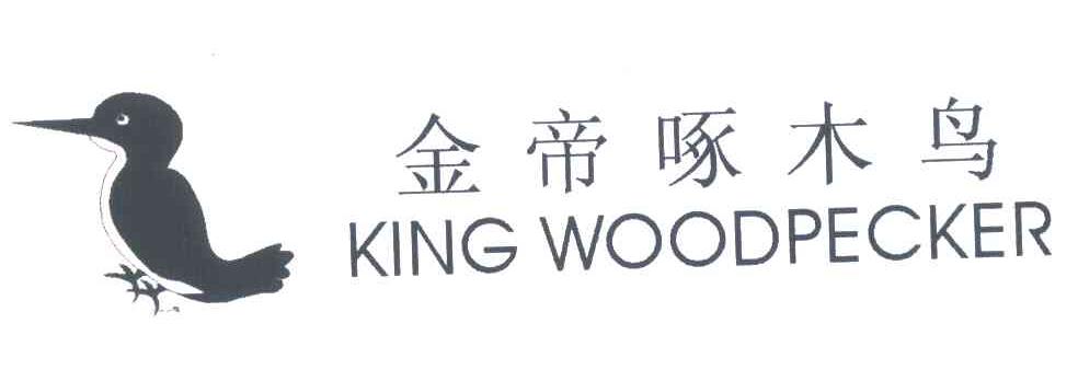 金帝啄木鸟;KINGWOODPECKER