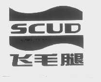 飞毛腿   SCUD