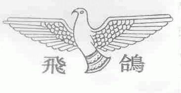 飞鸽