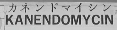 KANENDOMYCIN