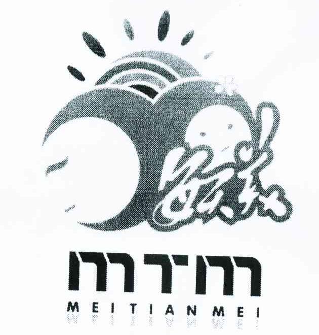 每天美 MTM