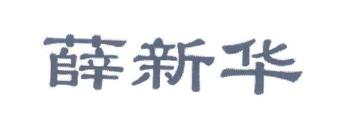 薛新华