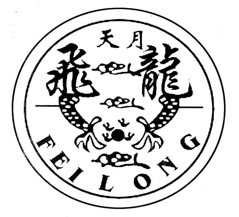 天月飞龙 FEILONG