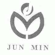 JUN MIN