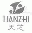 天芝