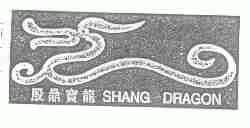 殷鼎宝龙;SHANG DRAGON