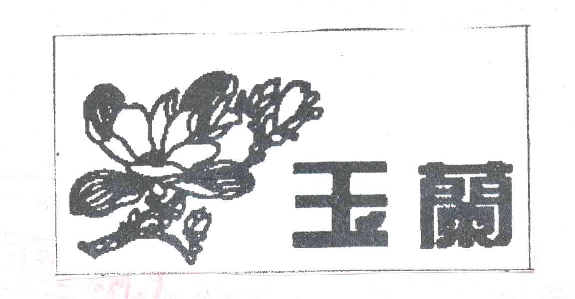 玉兰