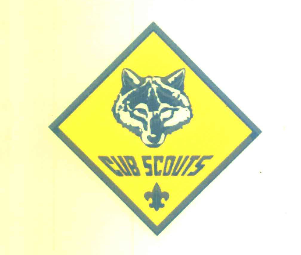 CUB SCOUTS