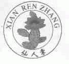 仙人掌